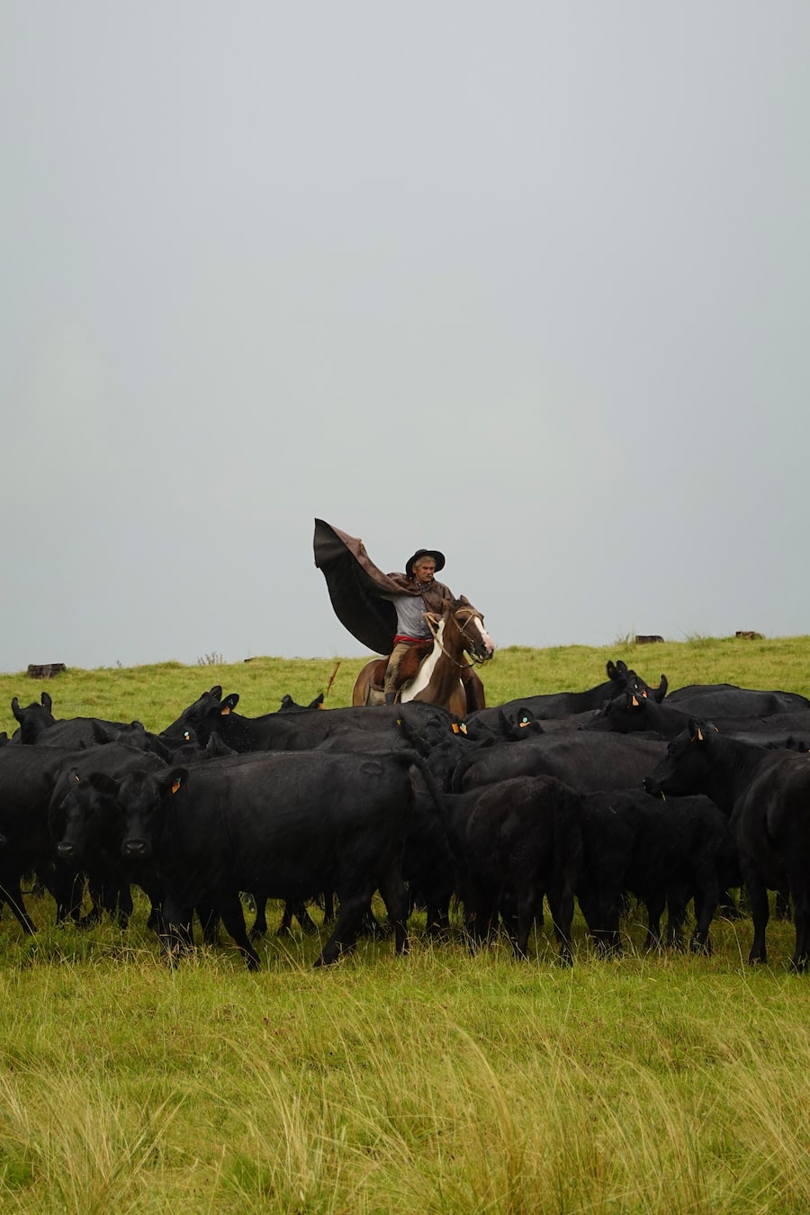 Dario Bianchi von Delikatessenhändler Bianchi bei Ojo de Agua