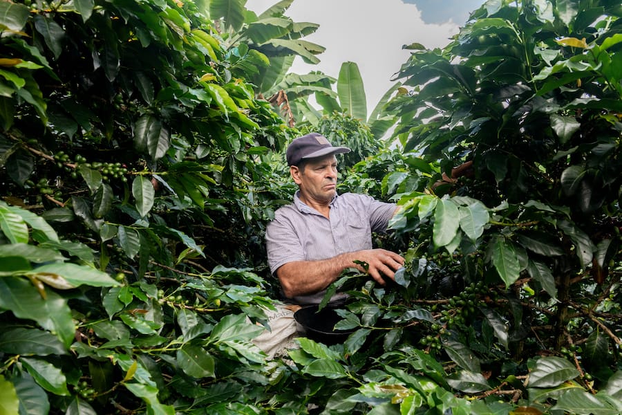 Kaffeebauer in Kolumbien