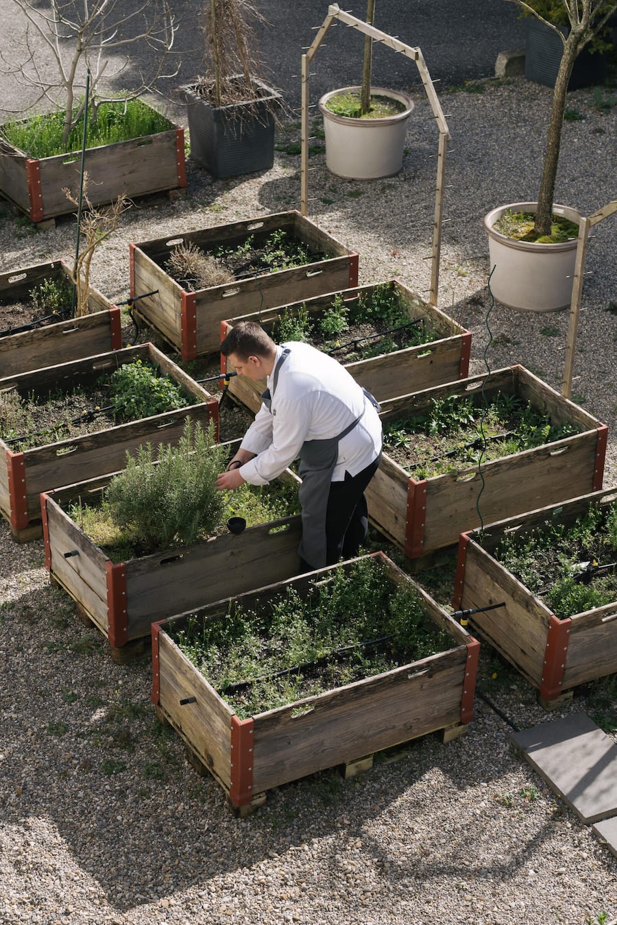 Küchenchef Martin Elschner im eigenen Hochbeetgarten hinter dem Hotel - La Couronne Solothurn - März 2024 - Copyright Olivia Pulver