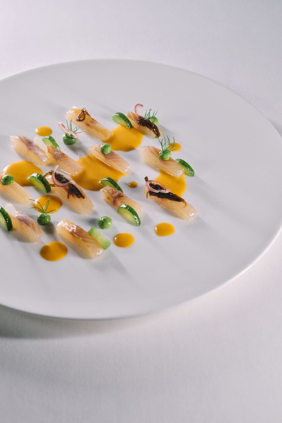 Saibling aus dem Val Lumnezia mit Kombu Tsukadani, Sanddorn Leche de Tigre und Limettenblattöl