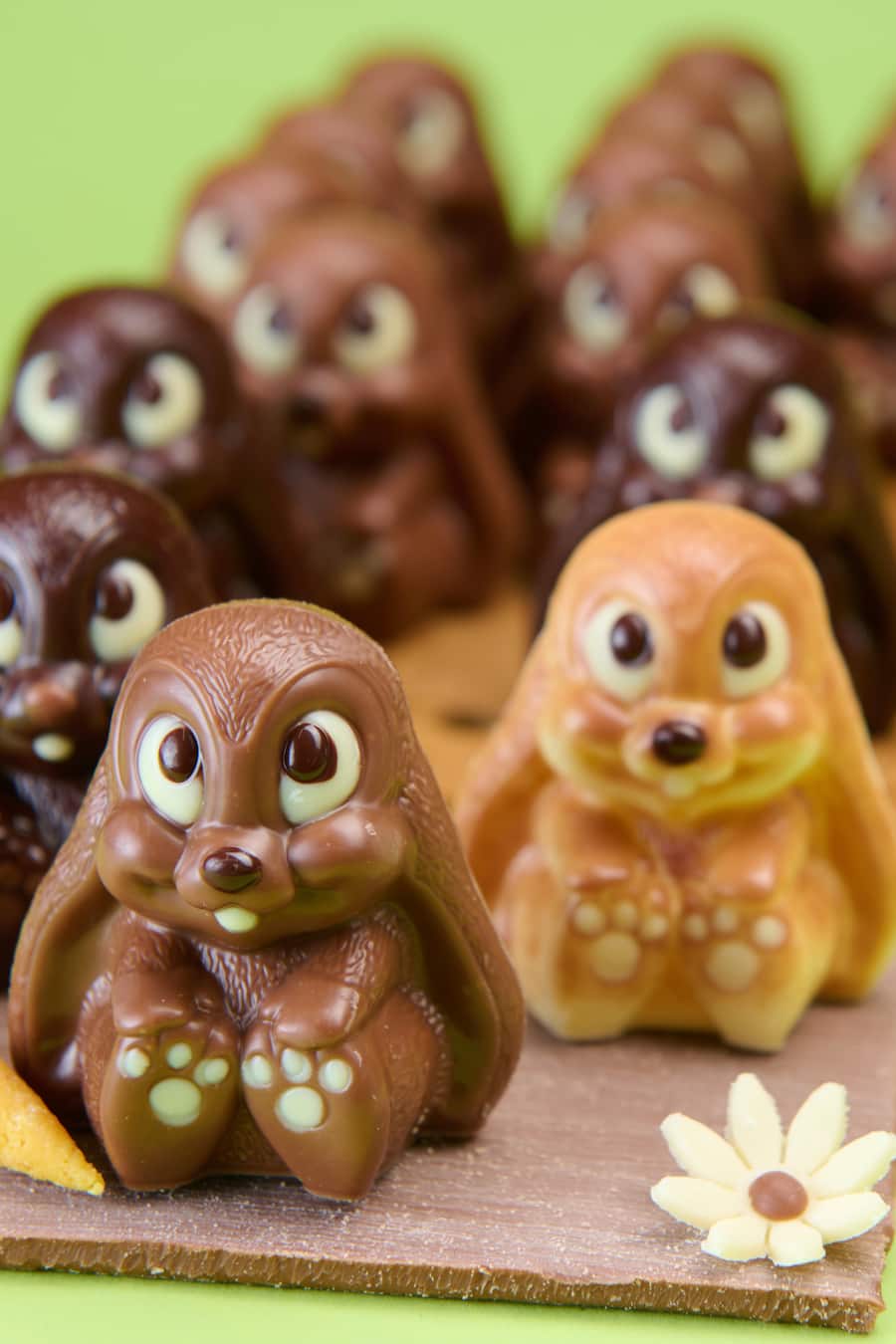 PotsPotes Rachel Courtet Jura chocolat