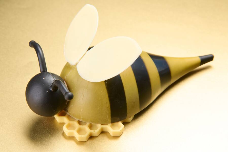 Praline,Samuel Muller,chocolatier,Fontaines