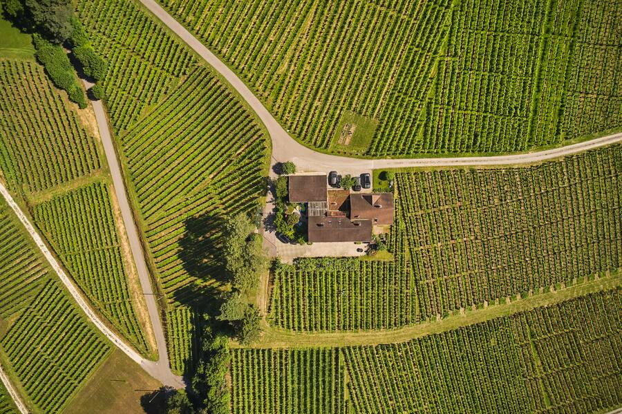 Weingut Kilchsperger Flaach