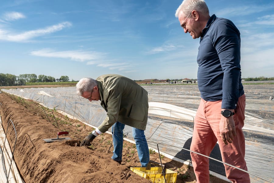 Die Reise des Badischen Spargels, auf Spargelhof Mönich in Griesheim (D), Böni und Bodo Mönich