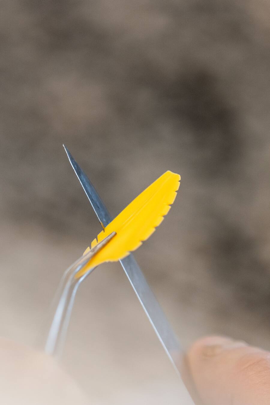 Sprüngli, Kreativ-Challenge, Bürgenstock, Merlin Lichtensteiger (Gewinnerin), Damian Carini (Chefpâtissier)