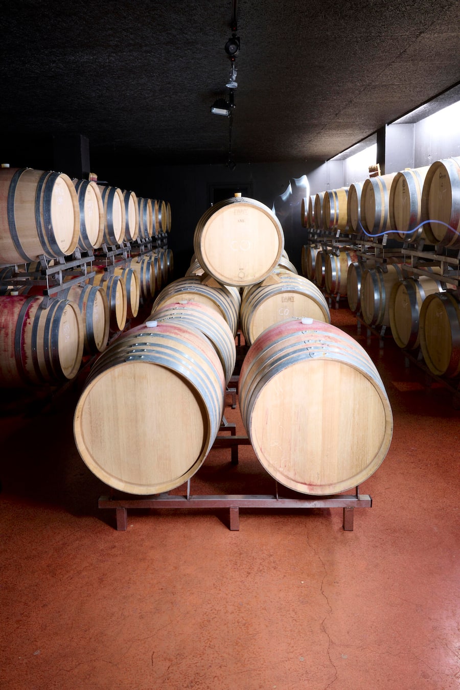 Der Weinkeller des Weinguts Wegelin, Malans, 2024