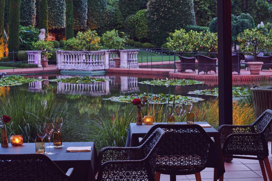 Ecco, Giardino, Ascona © HO