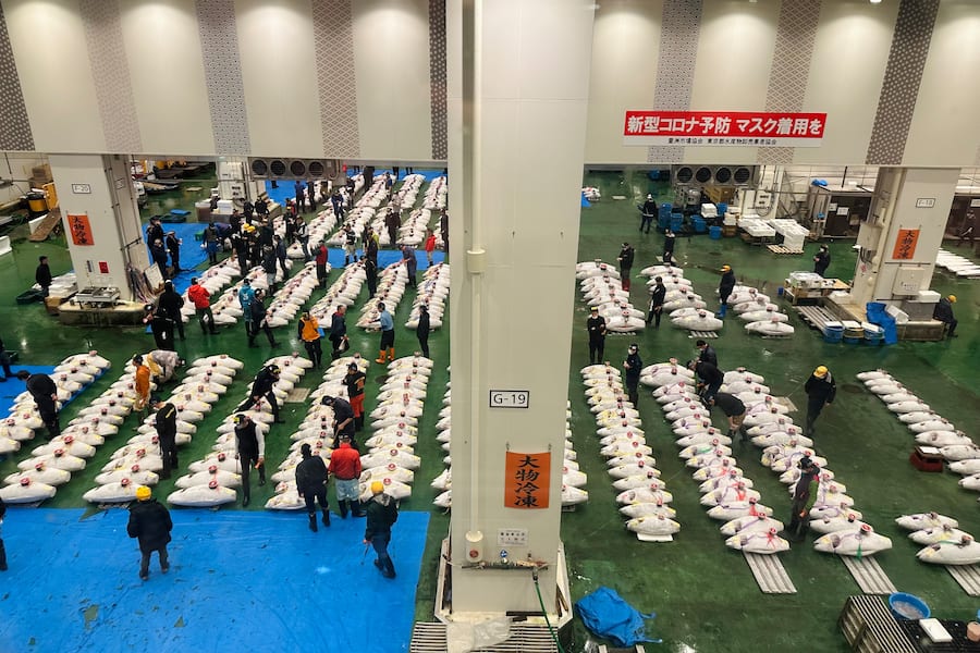 Luca Bianchi in Japan