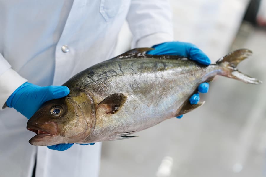 Luca und Dario Bianchi von Bianchi AG in Zufikon