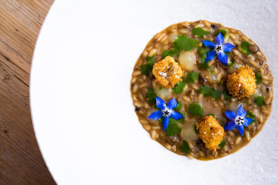 Lugano 2022: CUNTITT: Gericht: Carnaroli-Risotto mit Steinpilzen, Milken & Blüemli.