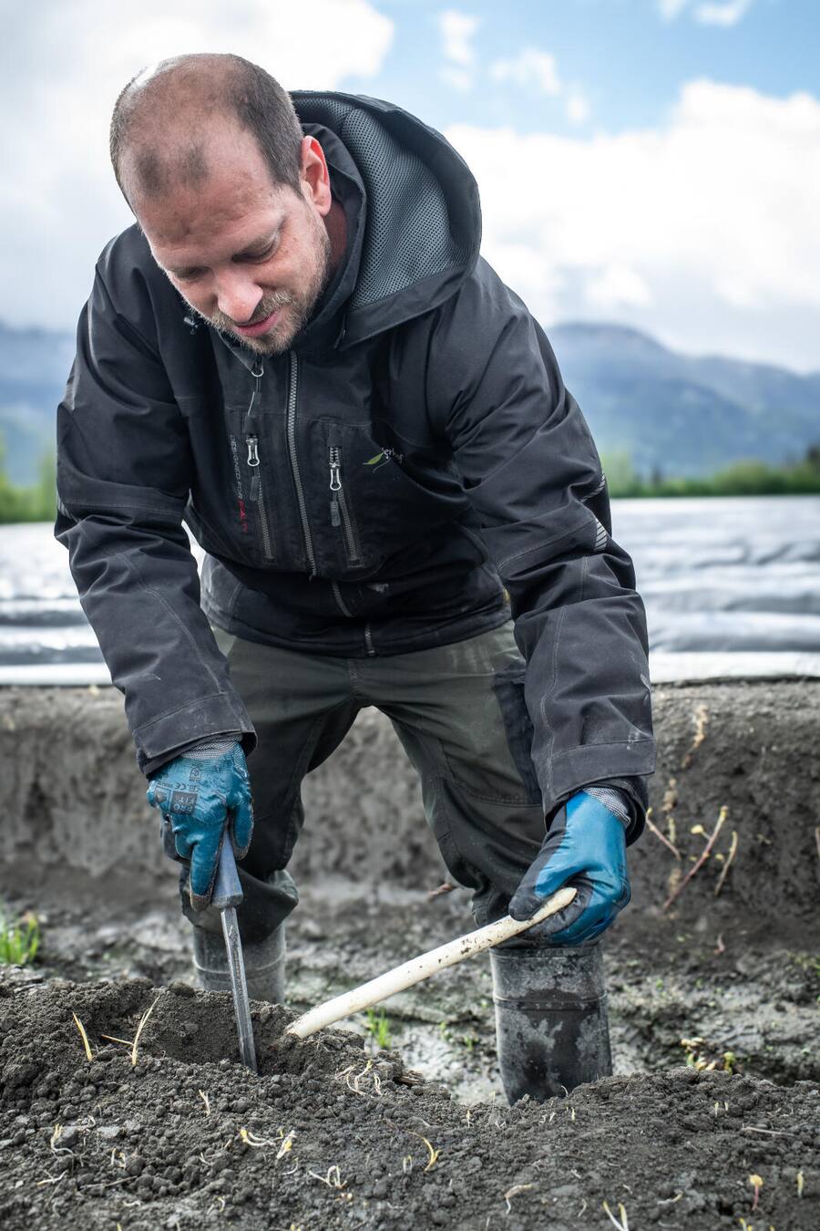 Schmitterhof, Diepoldsau