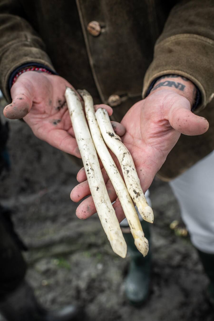 Schmitterhof, Diepoldsau