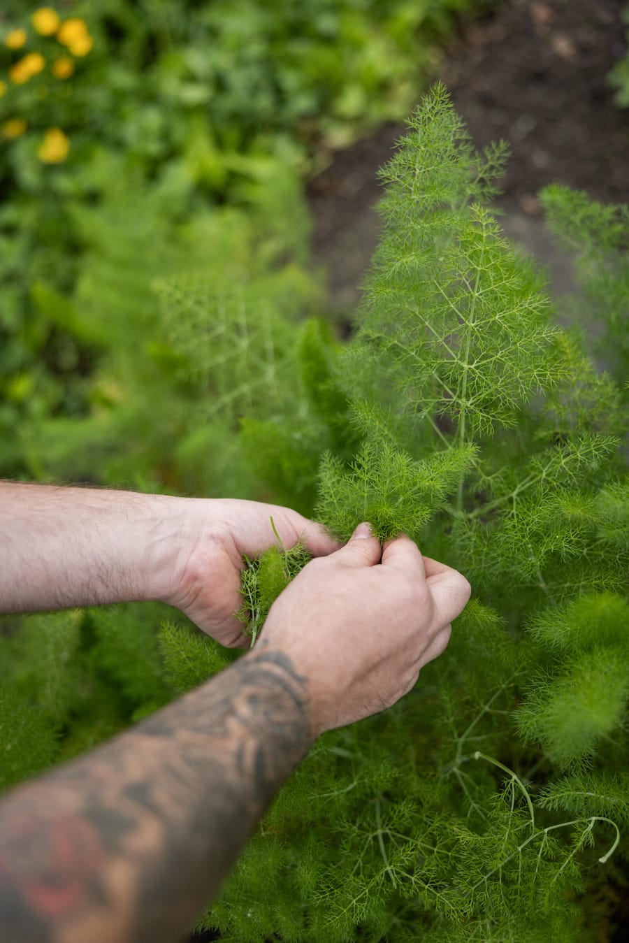 17.04.2024, Kartause Ittingen mit Chef Pascal Gorissen (photo by Remy Steiner for Gault Millau)