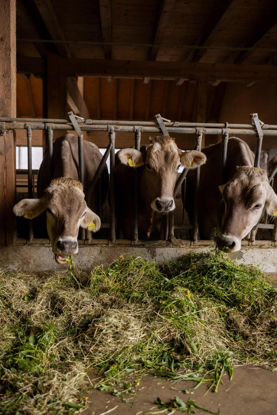 17.04.2024, Kartause Ittingen mit Chef Pascal Gorissen (photo by Remy Steiner for Gault Millau)