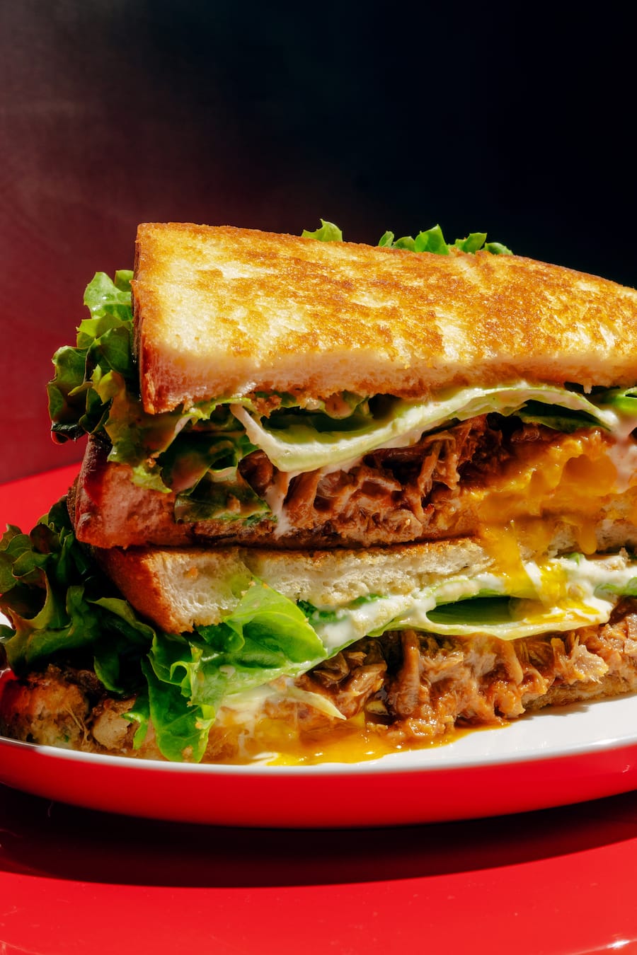 Roter Delfin Zurich Club Sandwich