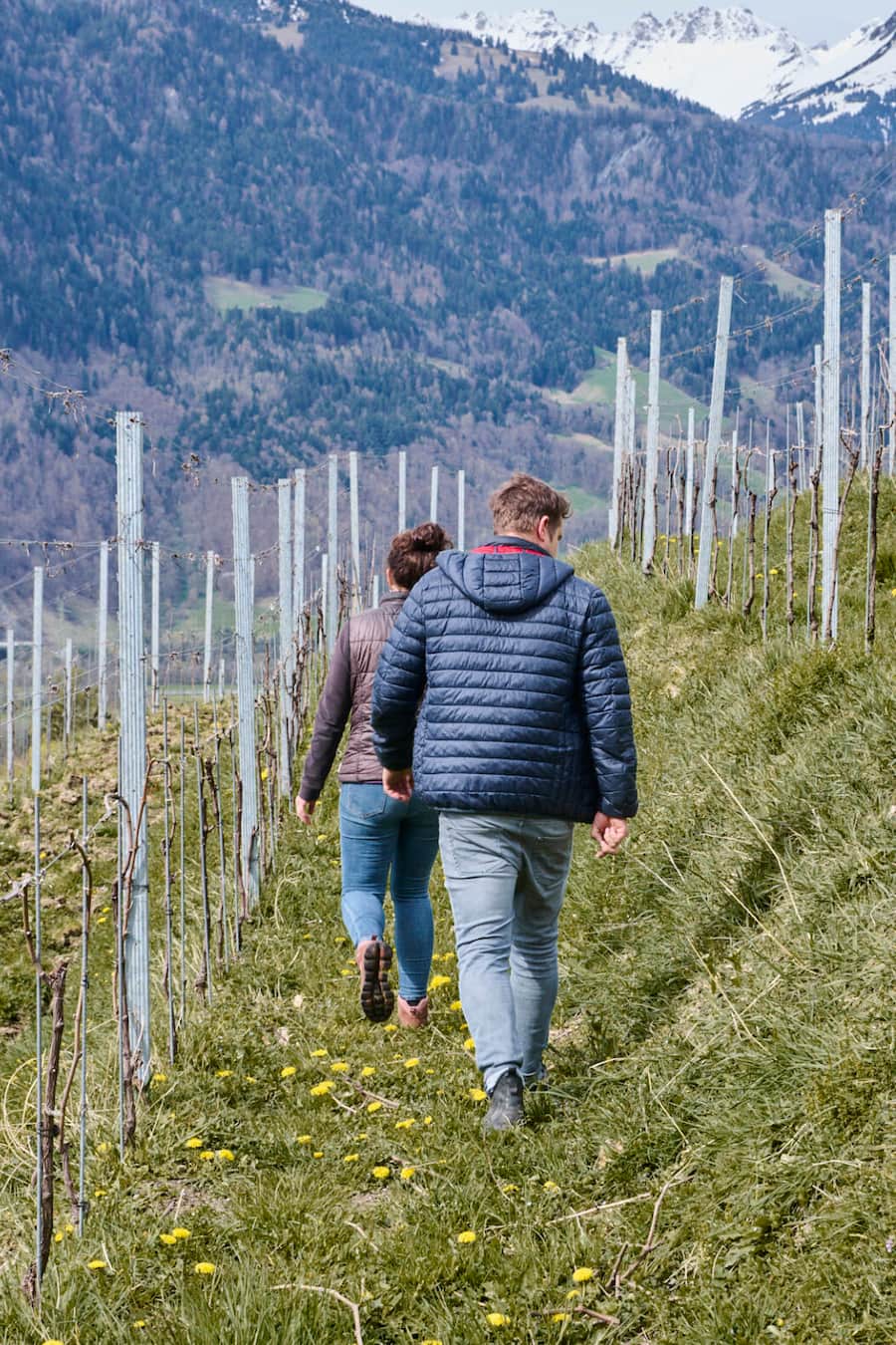 Unterwegs im höchsten Weinberg Graubündens: Mathilde und Rafael Hug in der Lage «Bothmarhalde».