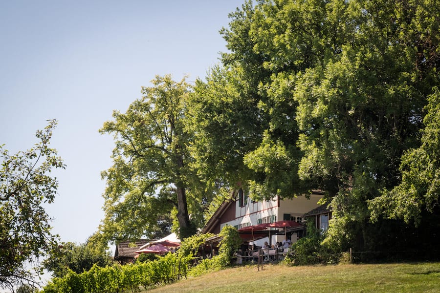 GM_Food Festival_Buech