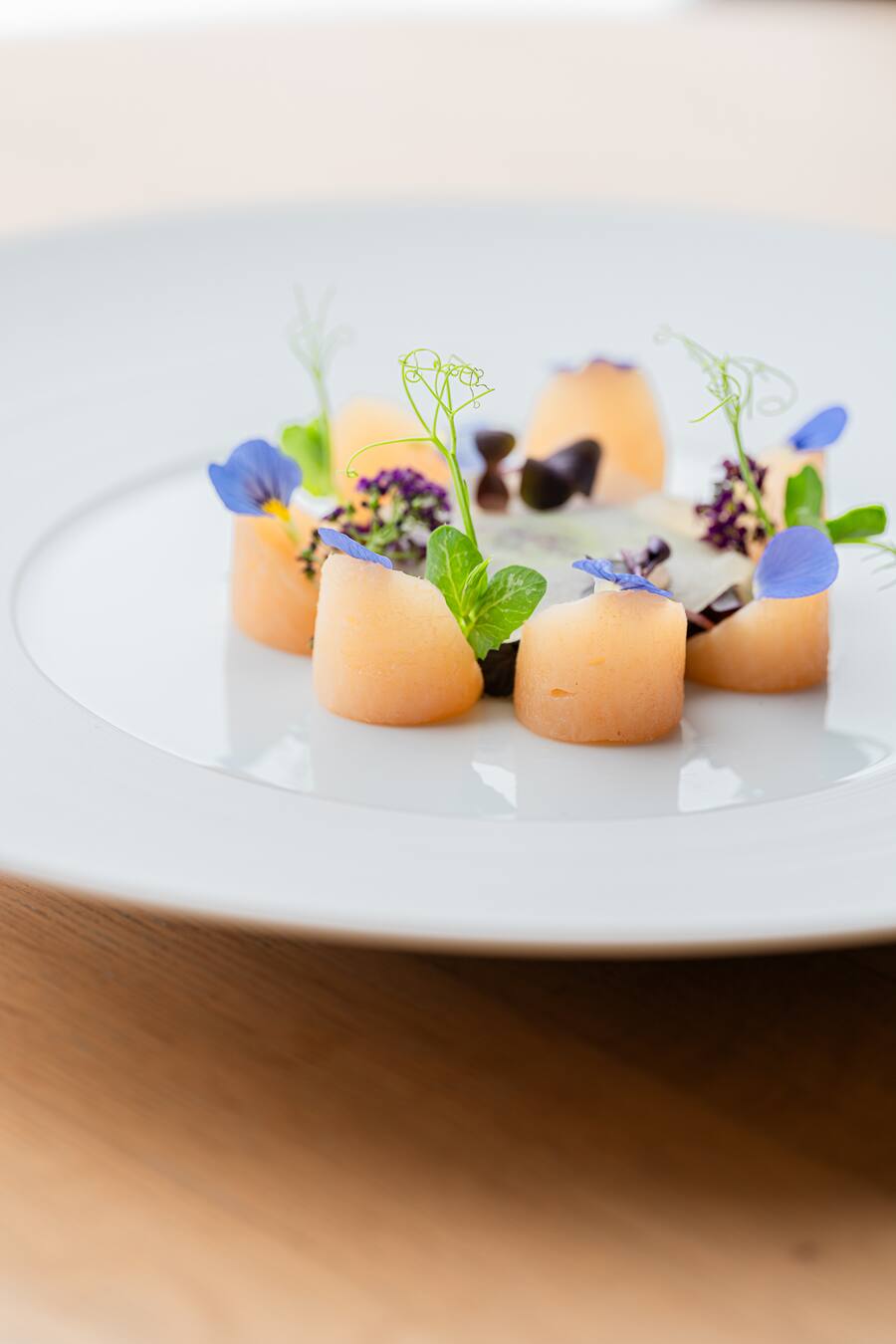 GAUTMILLAU-CHANNEL-VEGGIE-WEEK-L-APPARTE