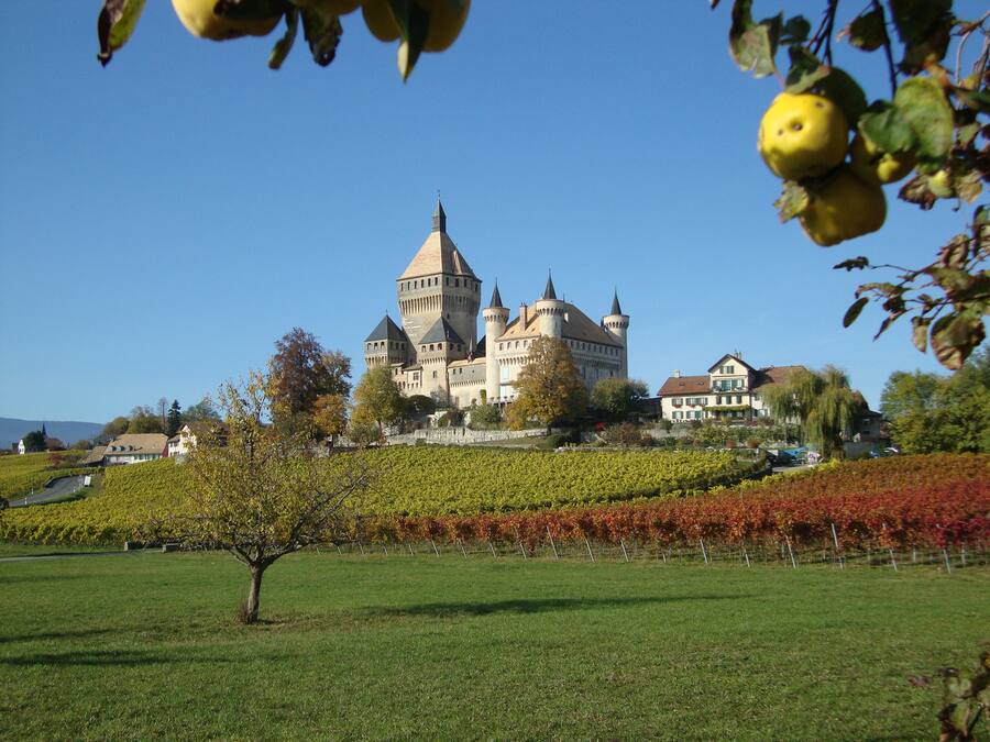 Le Domaine de la Balle à Vufflens-Le-Château