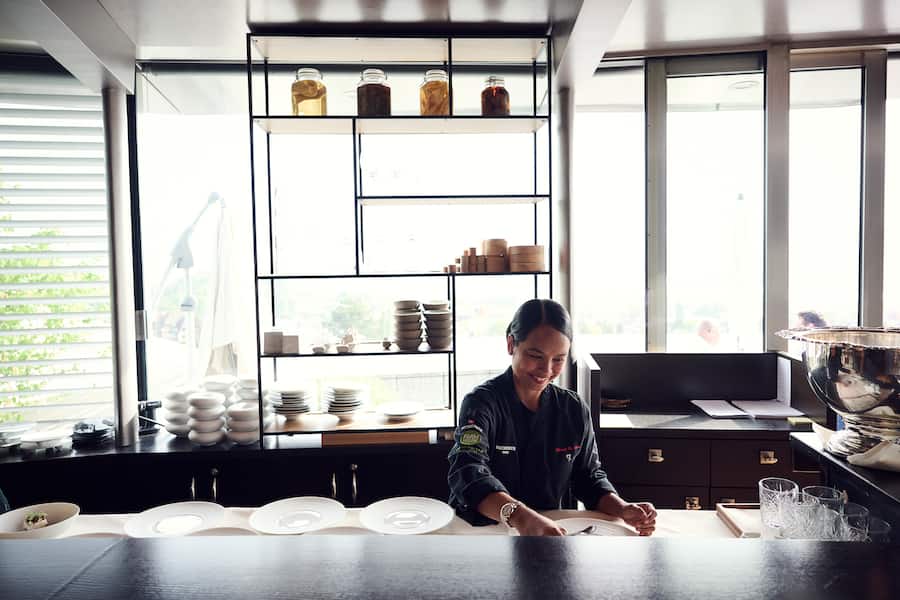 Mariya Un Noun Smiling Gecko