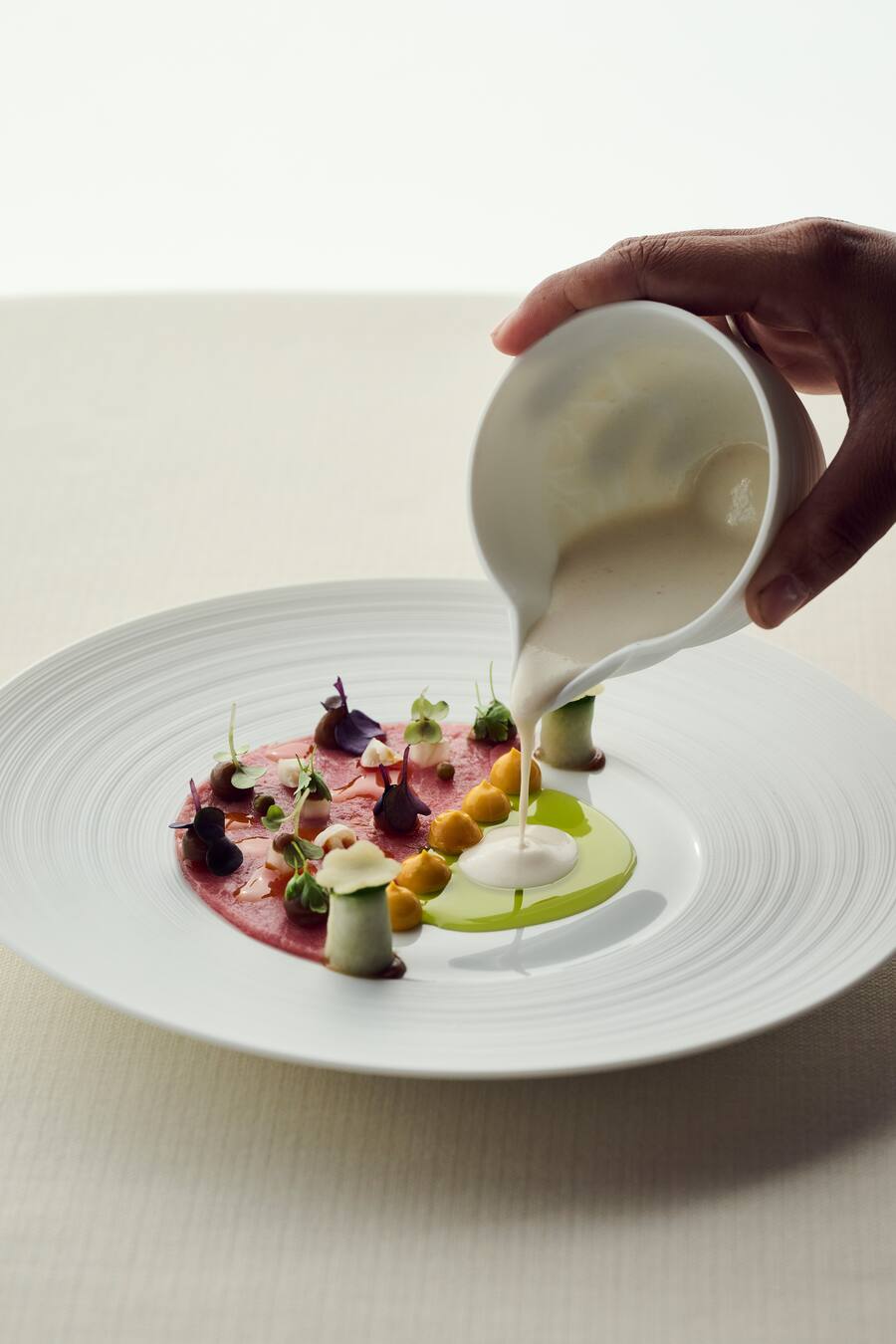 Mariya Un Noun Smiling Gecko