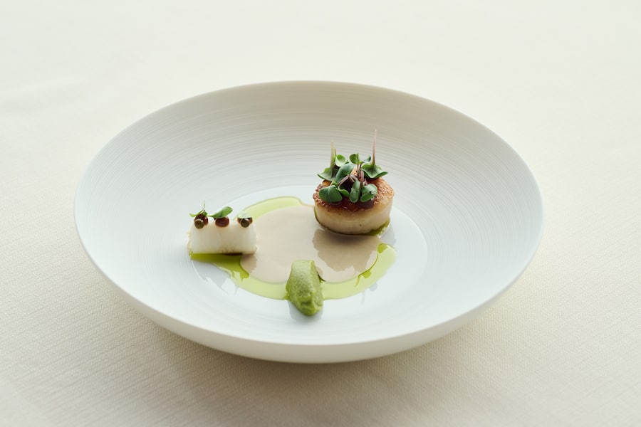 Mariya Un Noun Smiling Gecko