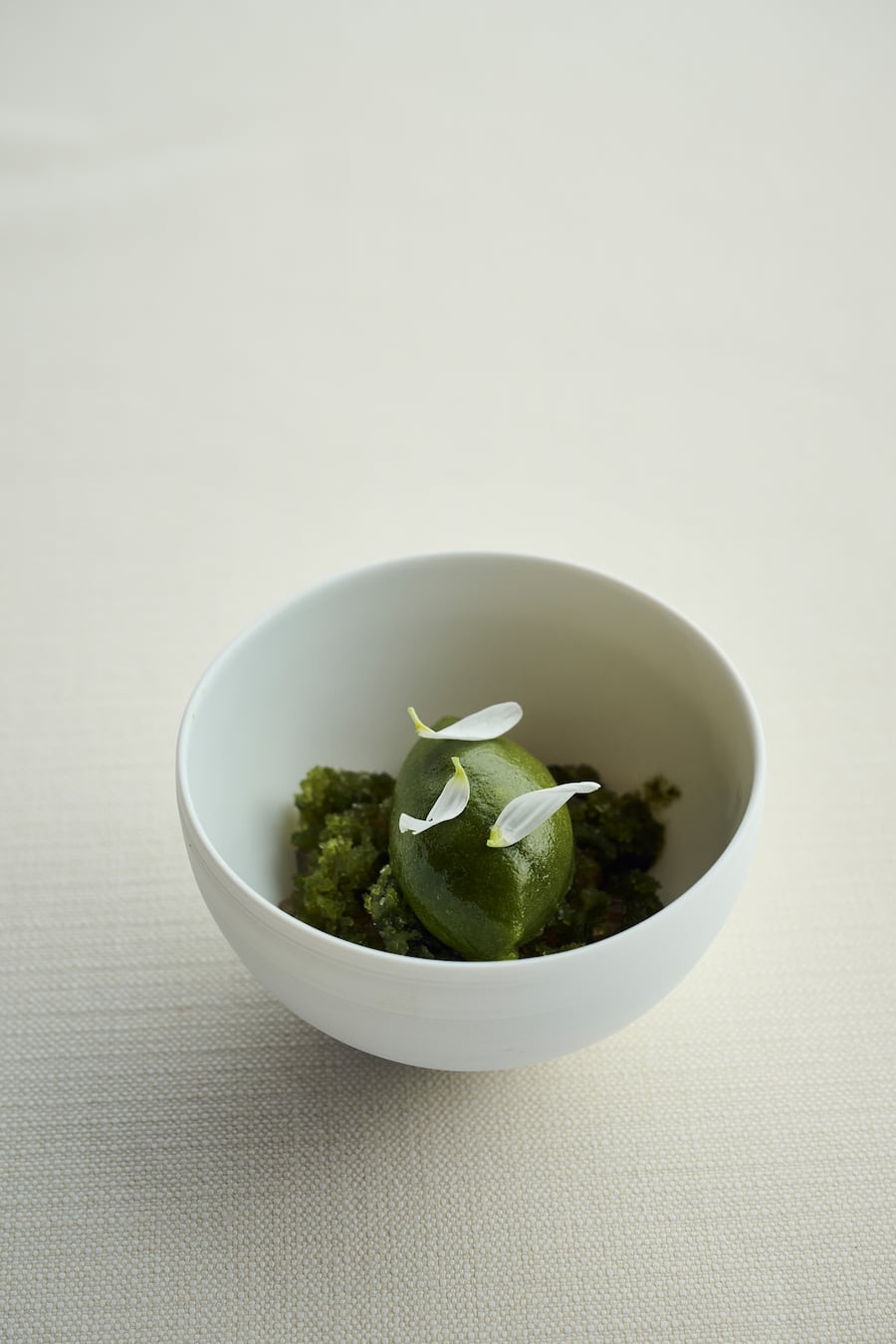 Mariya Un Noun Smiling Gecko