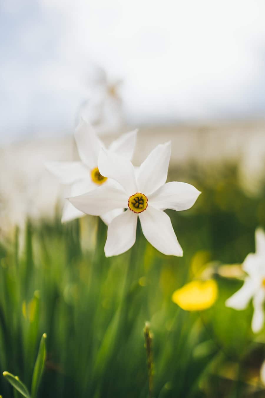 Auf dem Weg der Pleiaden und im Restaurant La Châ.