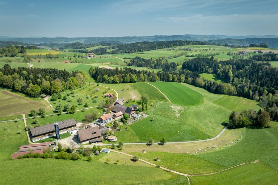 Pietro Catalano, Restaurant CAAA besucht den Bauernhof Tannenhof, Ebersecken, LU 2024