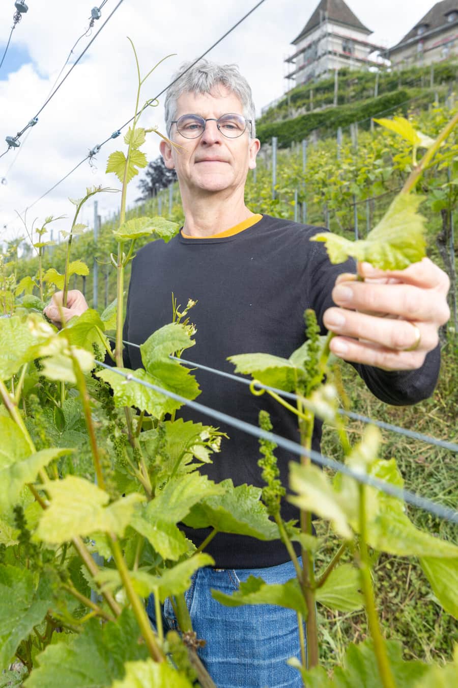 Portrait Weingut Turmgut, Erlenbach mit Winzer Markus Weber. Portrait vom WinzerMarkus Weber, spontan und bei der Arbeit. Fotografiert am 16.05.2024 in Erlenback.