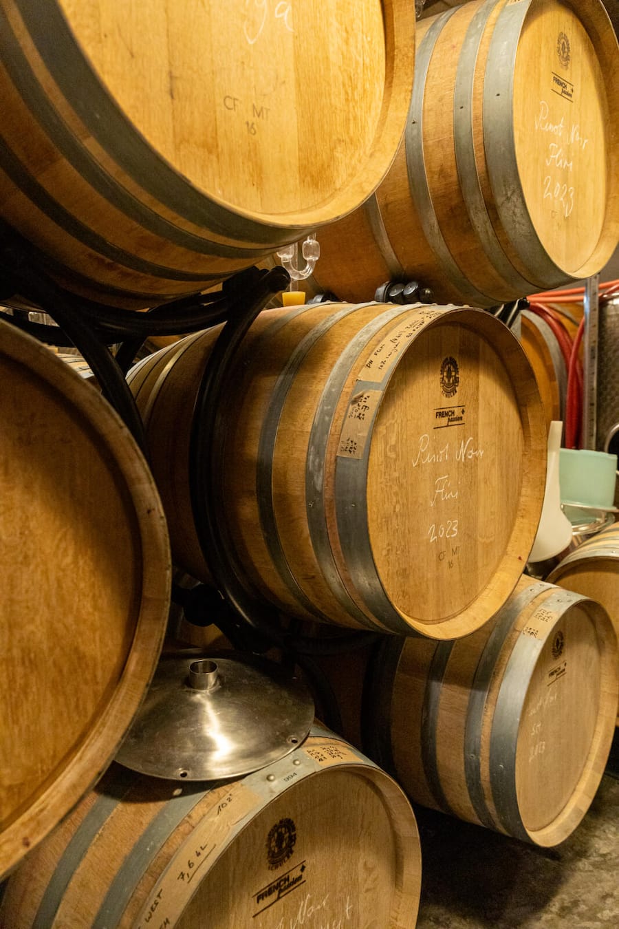 Portrait Weingut Turmgut, Erlenbach mit Winzer Markus Weber. Details im Fasskeller. Fotografiert am 16.05.2024 in Erlenback.