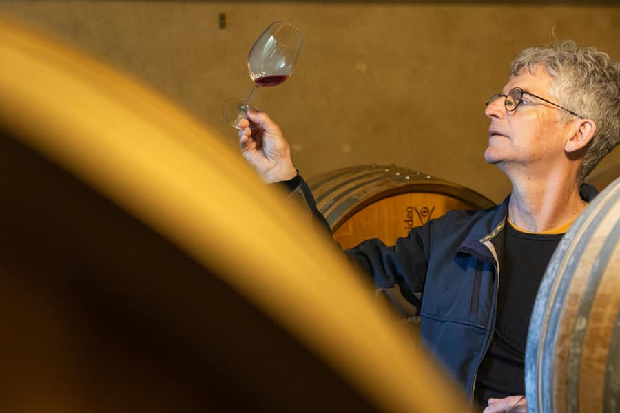 Portrait Weingut Turmgut, Erlenbach mit Winzer Markus Weber. Portrait vom WinzerMarkus Weber, spontan und bei der Arbeit. Fotografiert am 16.05.2024 in Erlenback.