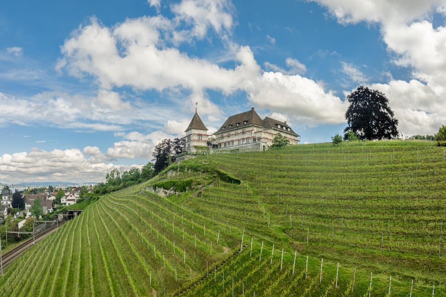 Portrait Weingut Turmgut, Erlenbach mit Winzer Markus Weber. Panorama von Weingut Turmgut Fotografiert am 16.05.2024 in Erlenback.