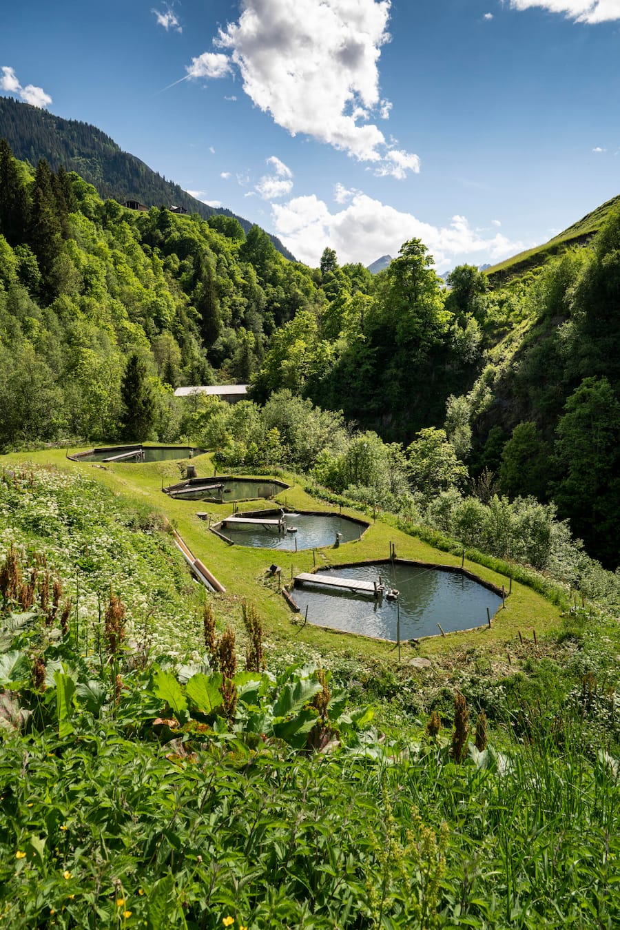 Saiblingzucht Lugnez