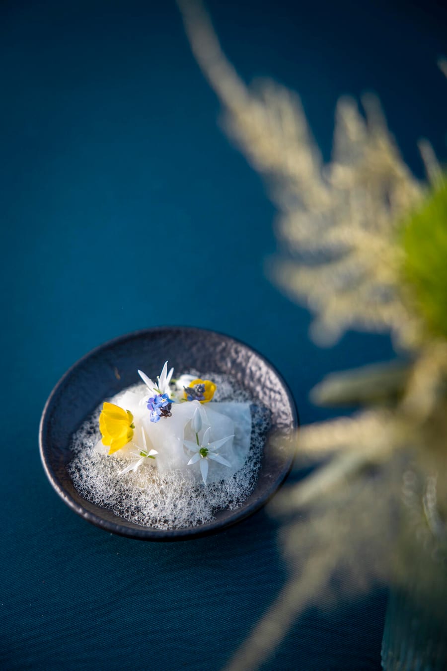 Paul Cabayé / Boutique Hotel & Restaurant Glacier. Kohlrabi -Canneloni, Rollgerstenrisotto, Bohnenschaum. Top of Taste Gourmet-Festival in Grindelwald im Hotel Schweizherhof. Aufgenommen am 10.05.2024