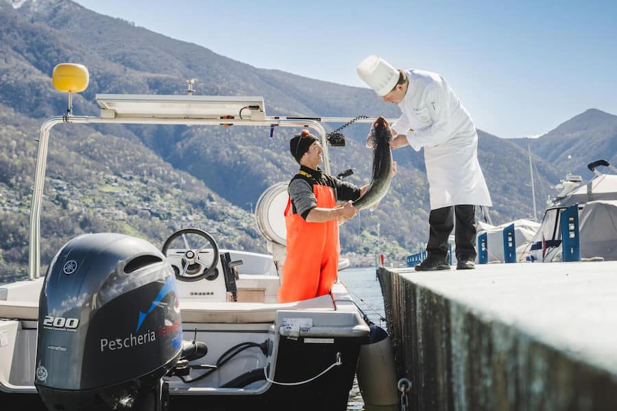 Ascona 2024: Fischer Giovanni Palmieri und Mattias Roock.