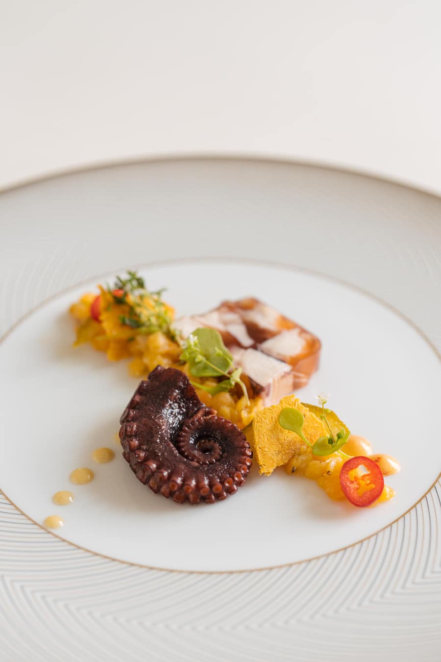 Marinierter Italienischer Pulpo mit Linsen, Kafir-Limetten, Portulak, Kresse, Mayonnaise mit Tasmanischem Pfeffer, Chili - Böni arbeitet bei Bernadette Lisibach auf der Terrasse - Neue Blumenau Lömmenschwil - Juni 2024 - Copyright Olivia Pulver