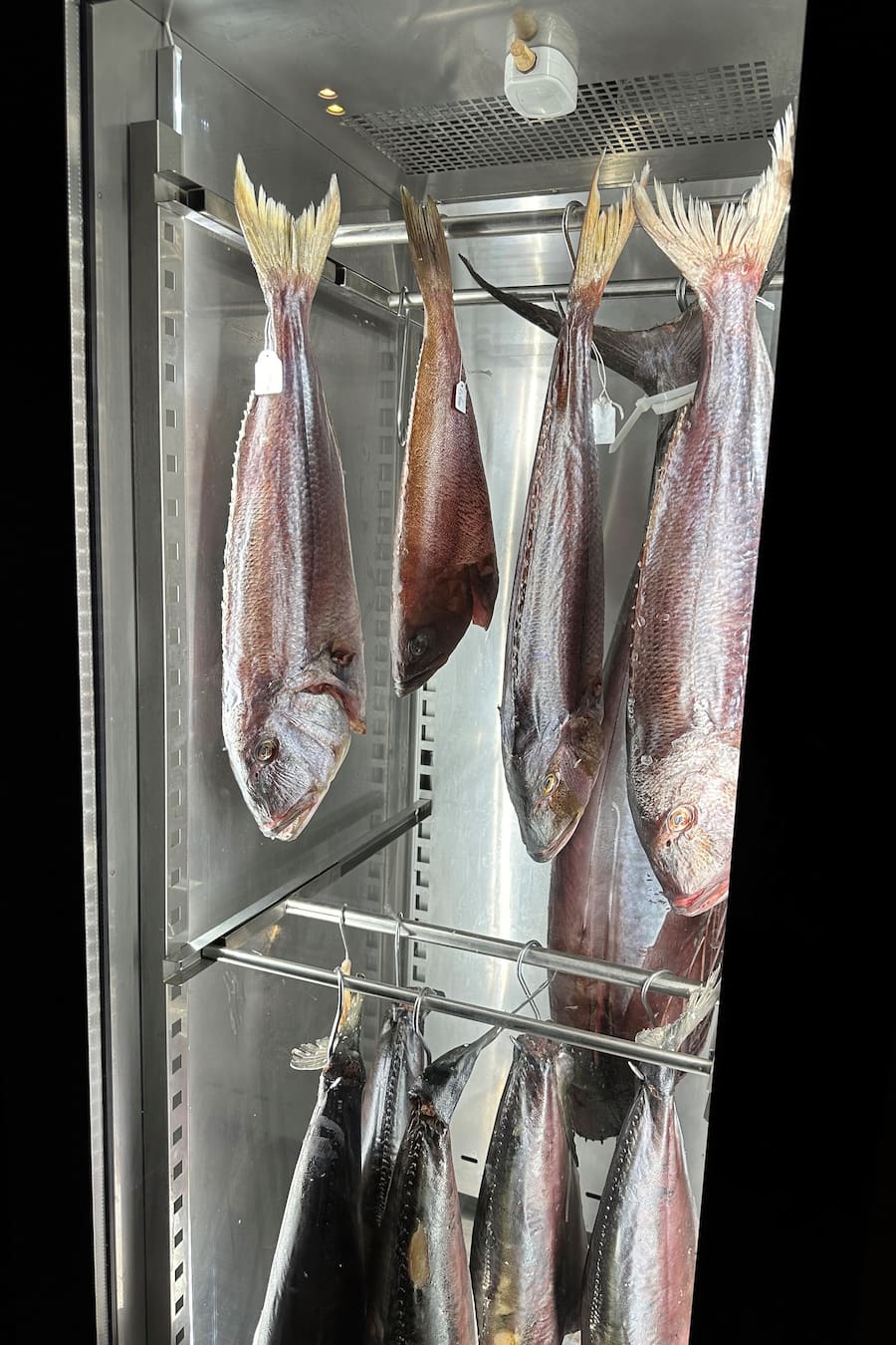 Bianchi Fischzucht in Leros