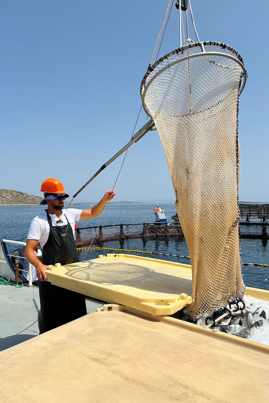 Bianchi Fischzucht in Leros