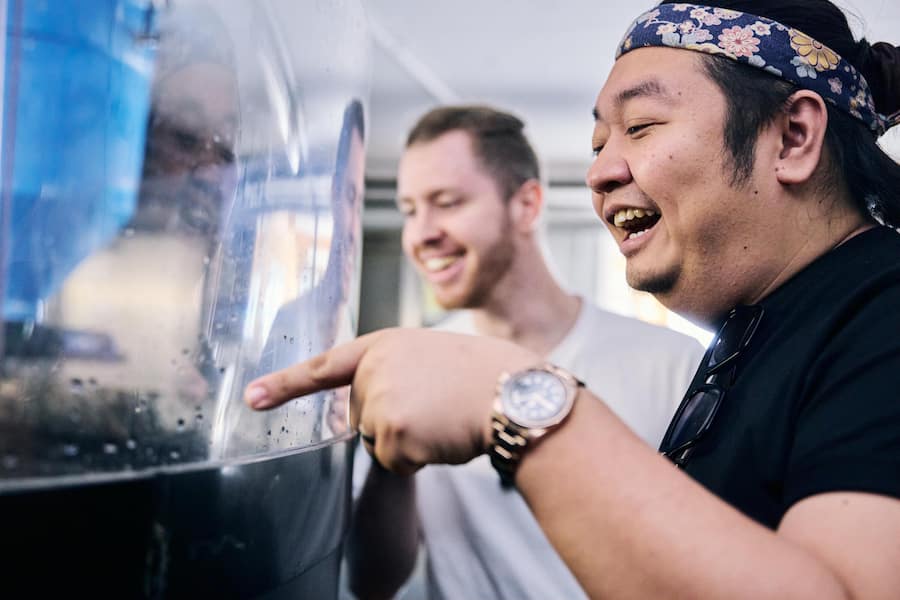 Edelkrebs AG Zucht Masu-Lachs und Äsche Sins