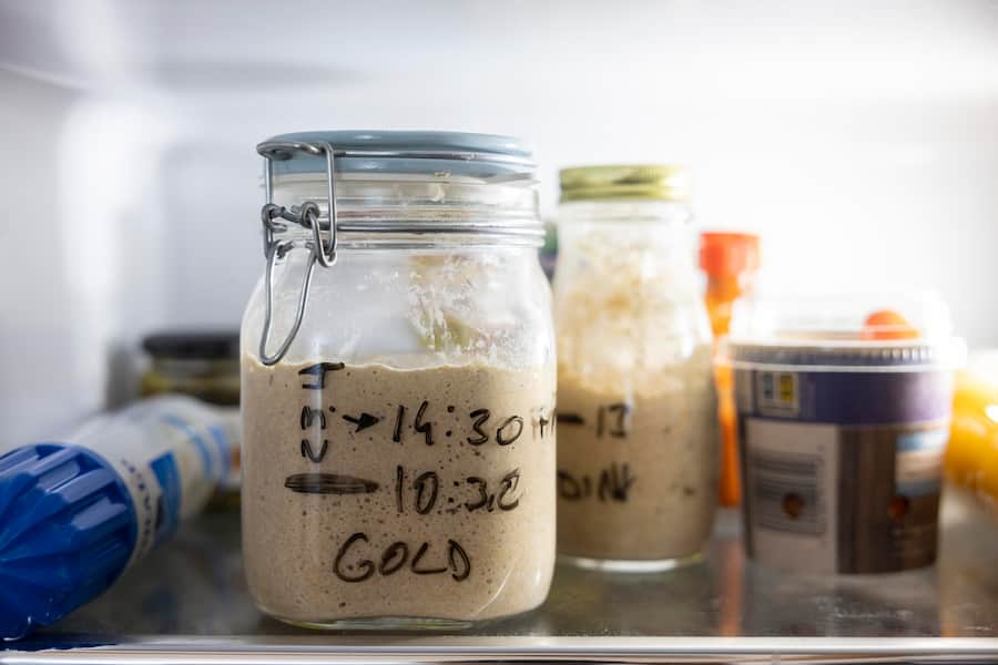 GM Fabio Celestini, Trainer FC Basel