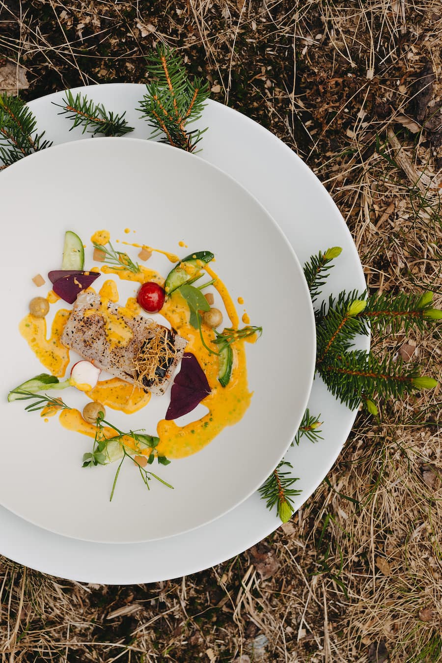 Val Lumnezia Saibling, Sanddorn, Thymian - beyond the clouds - Marcel Koolen (Chefkoch Silver) kocht in der Natur auf dem Feuer - Silver, 7132 Vals - Juni 2024 - Copyright Olivia Pulver