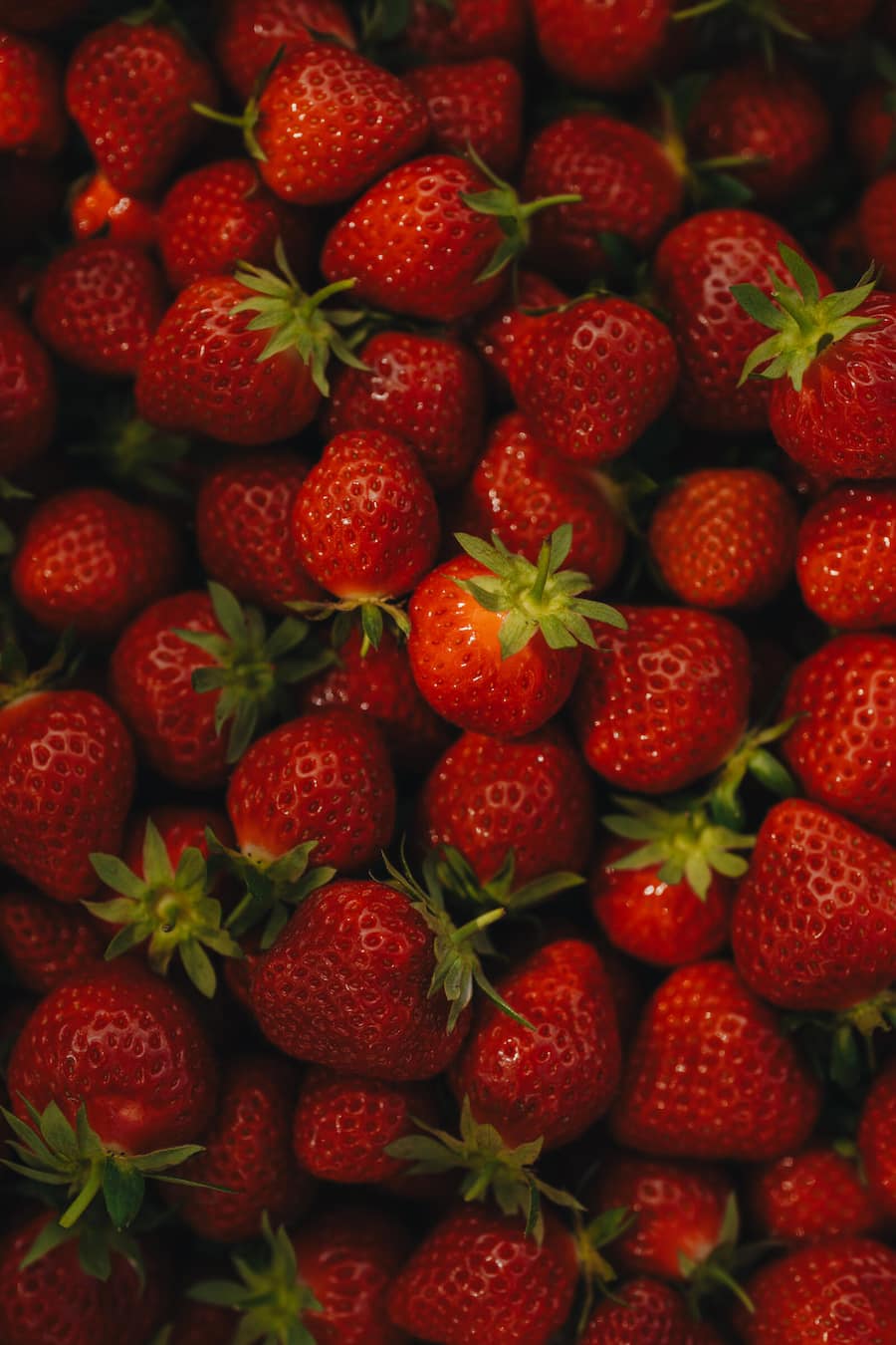 Erdbeere Mara de Bois - Noemi Bernard, Sternen Walchwil - Zu Besuch beim Buurgarte Boog Hünenberg - Juni 2024 - Copyright Olivia Pulver
