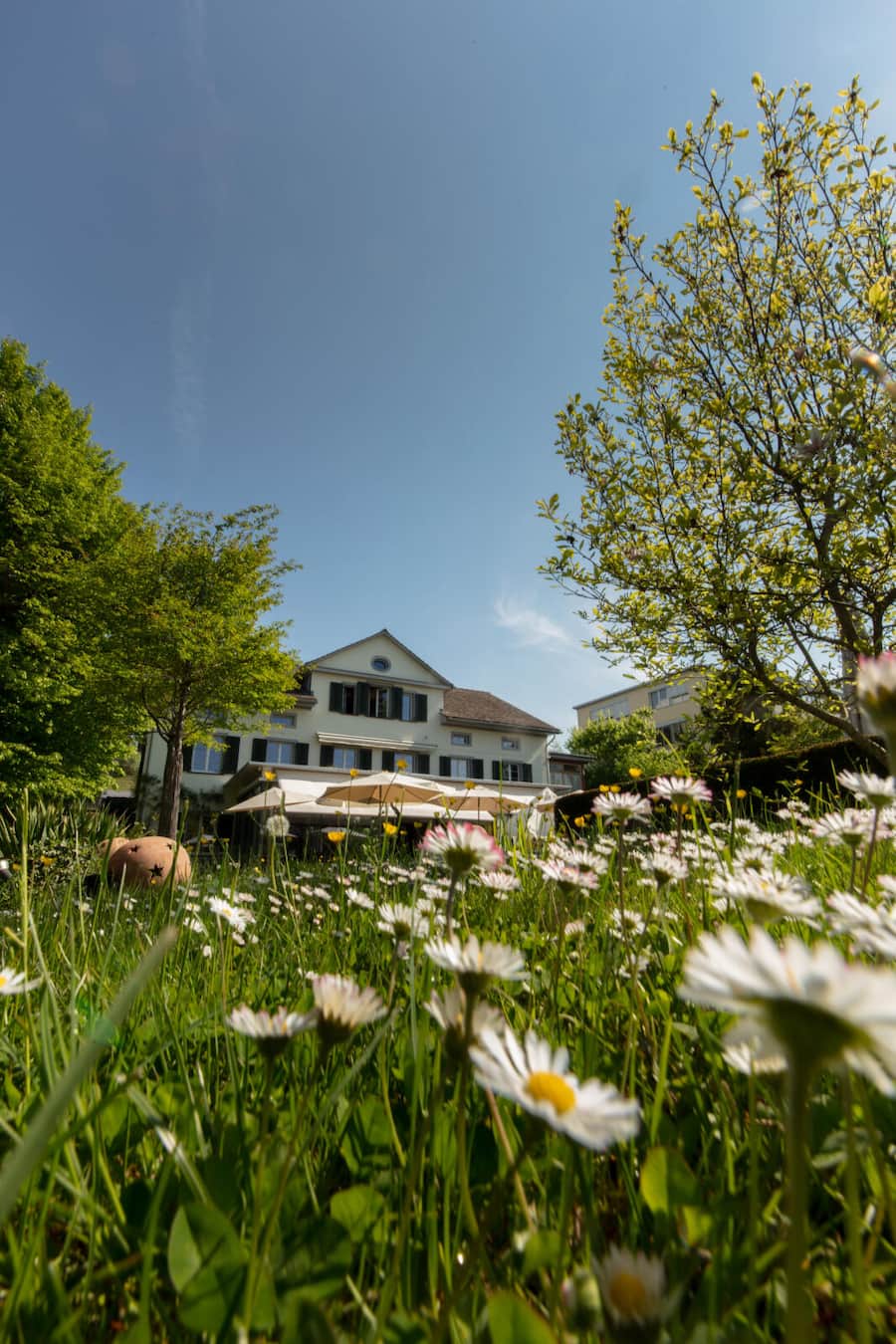 Restaurant Sommerlust in Schaffhausen, SH 2022