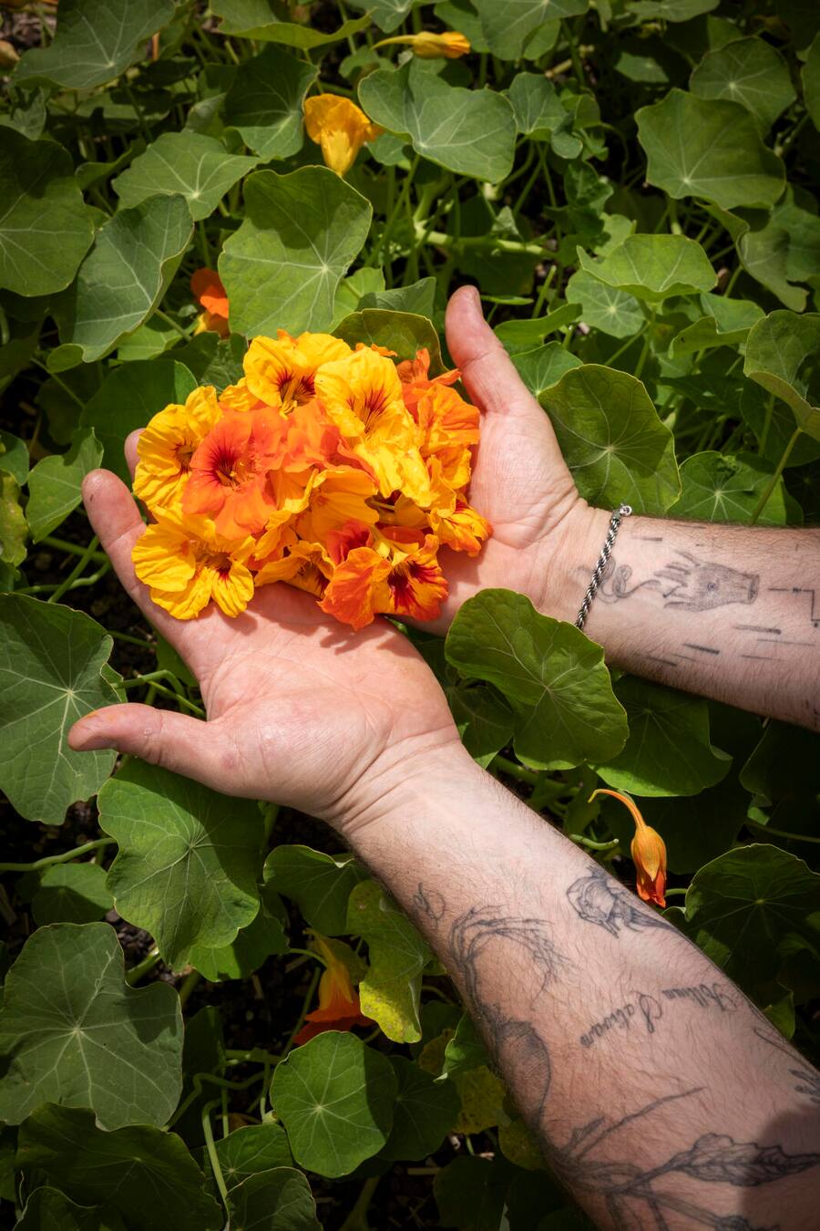 Villa Emden, Isole Di Brissago, TI