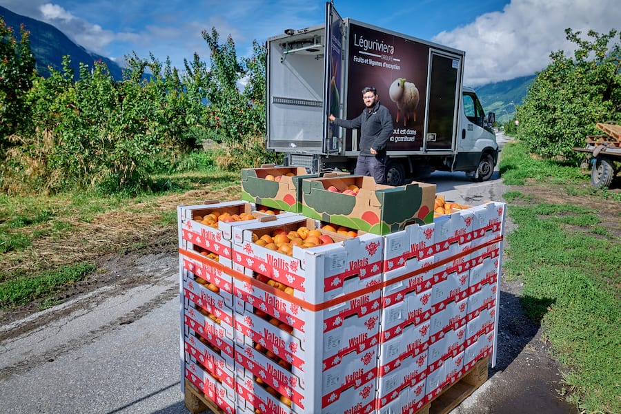 Saxon, le 13 juillet 2024, Daniel Vouilloz, producteur dâabricots reçoit Léguriviera pour une livraison en circuit court © sedrik nemeth