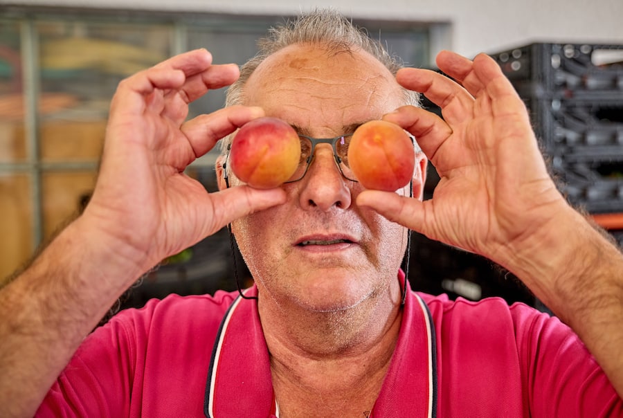 Saxon, le 13 juillet 2024, Daniel Vouilloz, producteur dâabricots reçoit Léguriviera pour une livraison en circuit court © sedrik nemeth