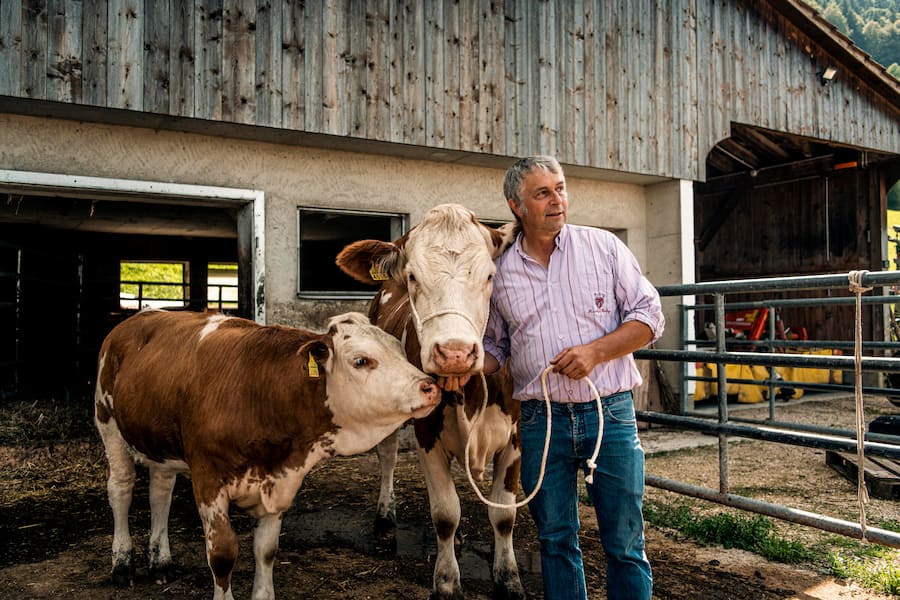 Die Natur rund ums Château de Raymontpierre am Mittwoch (16.8.2023) in Vermes. Foto: Thomas Egli