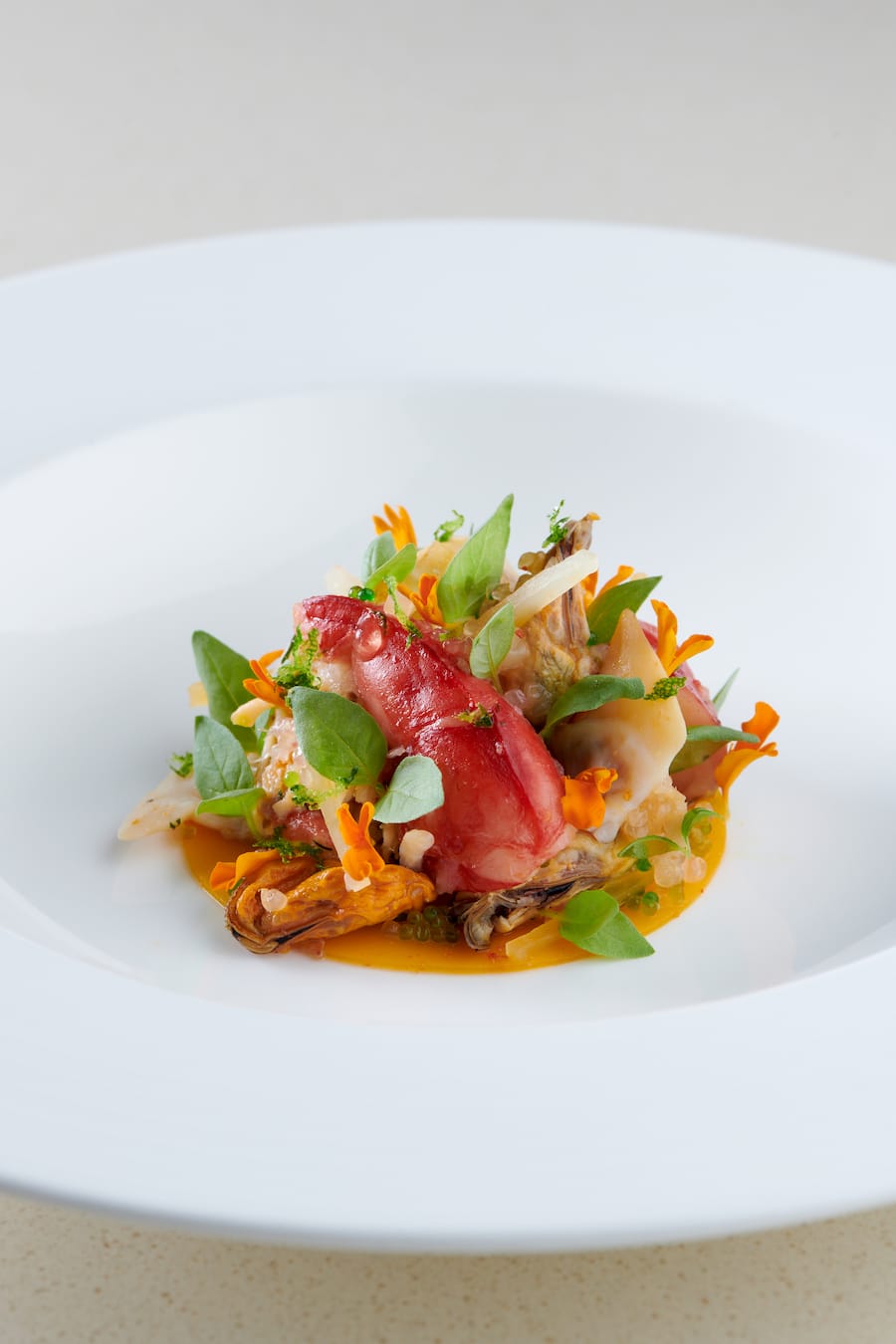 Kürbis, Krustentier-Essenz, Sauer - Scharf