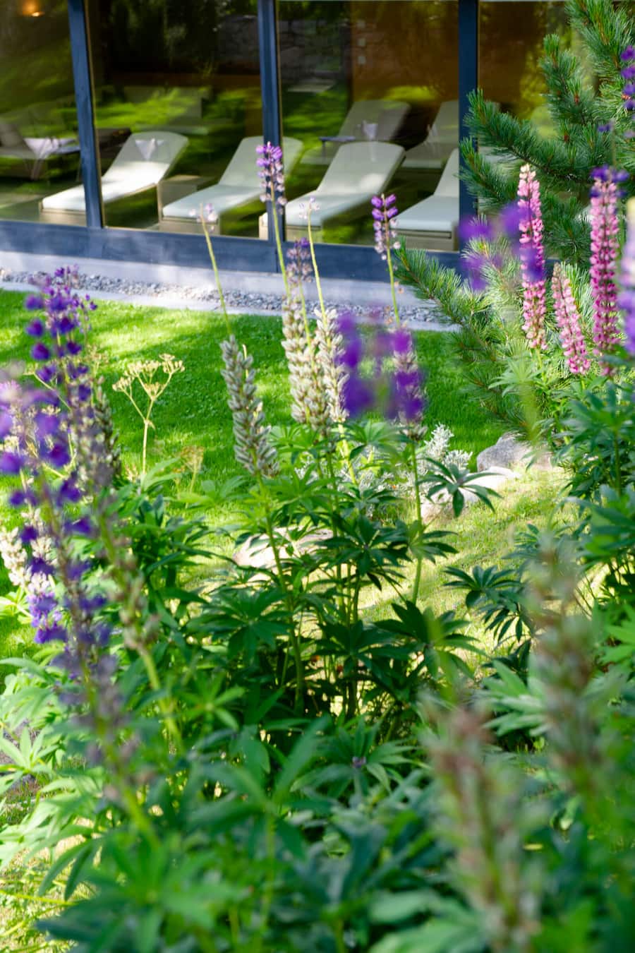 Heller checkt ein Kronenhof Pontresina Garten